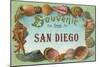 Souvenir from San Diego, California-null-Mounted Art Print