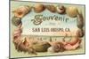 Souvenir from San Luis Obispo-null-Mounted Art Print