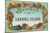 Souvenir from Sanibel Island-null-Mounted Art Print