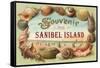 Souvenir from Sanibel Island-null-Framed Stretched Canvas