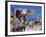 Souvenir Market Stall, Barbados, Caribbean, West Indies-Sylvain Grandadam-Framed Photographic Print