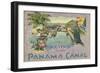 Souvenir of the Panama Canal-null-Framed Art Print
