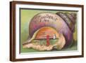 Brown Frame