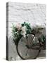 Souvenir Shop Bicycle, UNESCO World Heritage Site, Terra dei Trulli, Alberobello, Puglia, Italy-Walter Bibikow-Stretched Canvas