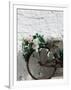 Souvenir Shop Bicycle, UNESCO World Heritage Site, Terra dei Trulli, Alberobello, Puglia, Italy-Walter Bibikow-Framed Photographic Print