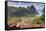 Souvenir Stall with View of the Pitons and Soufriere-Eleanor-Framed Stretched Canvas