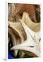 Souvenir Starfish and Seashells for Sale, Livingston, Guatemala-Cindy Miller Hopkins-Framed Premium Photographic Print