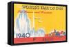 Souvenir Ticket to New York World's Fair, 1940-null-Framed Stretched Canvas