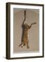 Souvenirs of the Hunt:The Hare; Souvenirs De Chasses: Le Lievre-Edouard Travies-Framed Giclee Print