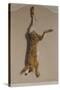 Souvenirs of the Hunt:The Hare; Souvenirs De Chasses: Le Lievre-Edouard Travies-Stretched Canvas