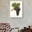 Souzao Grape-J. Troncy-Giclee Print displayed on a wall