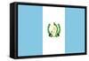 Sovereign State Flag Of Country Of Guatemala In Official Colors-Speedfighter-Framed Stretched Canvas