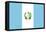 Sovereign State Flag Of Country Of Guatemala In Official Colors-Speedfighter-Framed Stretched Canvas