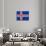 Sovereign State Flag Of Country Of Iceland In Official Colors-Speedfighter-Mounted Art Print displayed on a wall