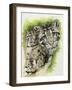 Sovereignty-Barbara Keith-Framed Giclee Print