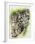 Sovereignty-Barbara Keith-Framed Giclee Print