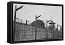Framed Canvas