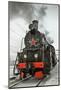 Soviet Steam Locomotive I-null-Mounted Art Print