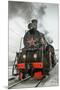 Soviet Steam Locomotive I-null-Mounted Art Print