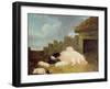 Sow with Piglets in the Sty-John Frederick Herring Jnr-Framed Giclee Print