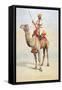 Sowar of the Bikanir Camel Corps, Illustration for 'Armies of India' by Major G.F. MacMunn,…-Alfred Crowdy Lovett-Framed Stretched Canvas