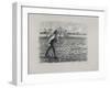 Sower, 1896-Camille Pissarro-Framed Giclee Print