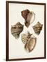 Sowerby Shells I-James Sowerby-Framed Art Print