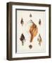 Sowerby Shells VII-James Sowerby-Framed Art Print