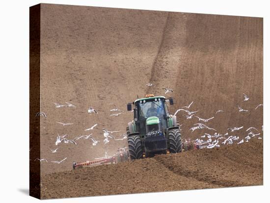 Sowing a Cereal Crop In Mid March-Adrian Bicker-Stretched Canvas