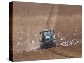 Sowing a Cereal Crop In Mid March-Adrian Bicker-Stretched Canvas