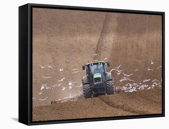 Sowing a Cereal Crop In Mid March-Adrian Bicker-Framed Stretched Canvas