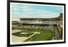 Sox Ball Park, Chicago, Illinois-null-Framed Art Print