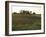 Soy Bean Field, Hudson, Illinois, Midwest, USA-Ken Gillham-Framed Photographic Print