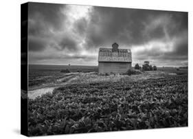 Soy Beans and Steel Corn Crib-Trent Foltz-Stretched Canvas