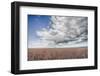 Soy Fields-Nathan Larson-Framed Photographic Print