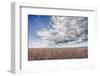 Soy Fields-Nathan Larson-Framed Photographic Print