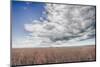 Soy Fields-Nathan Larson-Mounted Photographic Print