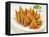 Soya Samosa-highviews-Framed Stretched Canvas