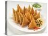 Soya Samosa-highviews-Stretched Canvas