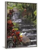 Spa and Gardens of Tabacon Hot Springs, Costa Rica-Michele Westmorland-Framed Photographic Print