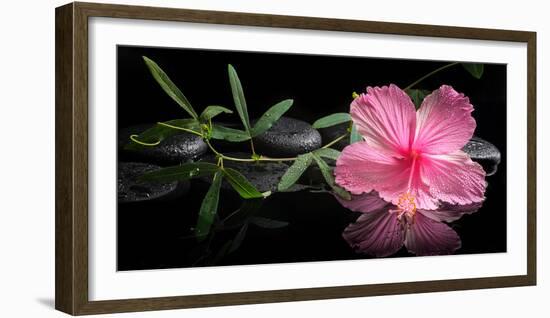 Spa Concept of Blooming Pink Hibiscus and Green Tendril Passionflower-Olga Khomyakova-Framed Photographic Print