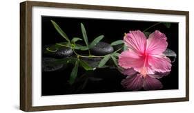 Spa Concept of Blooming Pink Hibiscus and Green Tendril Passionflower-Olga Khomyakova-Framed Photographic Print