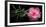 Spa Concept of Blooming Pink Hibiscus and Green Tendril Passionflower-Olga Khomyakova-Framed Photographic Print