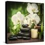 Spa Concept with Zen Basalt Stones and Orchid-scorpp-Stretched Canvas