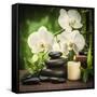 Spa Concept with Zen Basalt Stones and Orchid-scorpp-Framed Stretched Canvas