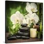 Spa Concept with Zen Basalt Stones and Orchid-scorpp-Stretched Canvas