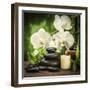 Spa Concept with Zen Basalt Stones and Orchid-scorpp-Framed Premium Photographic Print
