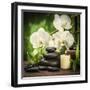 Spa Concept with Zen Basalt Stones and Orchid-scorpp-Framed Premium Photographic Print