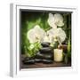 Spa Concept with Zen Basalt Stones and Orchid-scorpp-Framed Premium Photographic Print