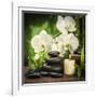 Spa Concept with Zen Basalt Stones and Orchid-scorpp-Framed Photographic Print